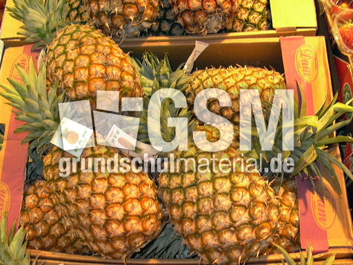 Ananas-2.JPG